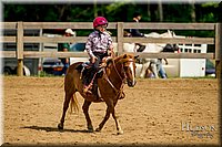 73 Beginner Western Horsemanship