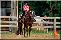 76 Western Horsemanship Jr