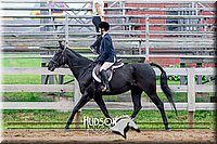 45. Classic Hunter Under Saddle Horse Sr. Rider