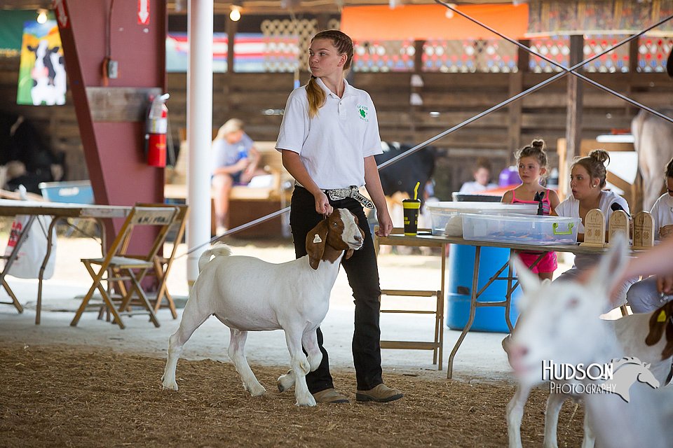 LCFAIR15-1014.jpg