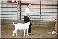 LCFAIR15-1013.jpg