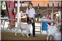 LCFAIR15-1014.jpg