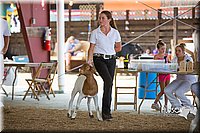 LCFAIR15-1015.jpg