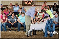 LCFAIR15-1747.jpg