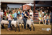 LCFAIR15-1857.jpg