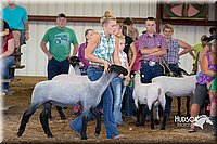 LCFAIR15-1533.jpg