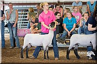 LCFAIR15-1540.jpg