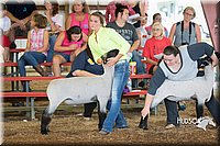 LCFAIR15-1542.jpg