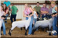 LCFAIR15-1544.jpg