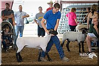 LCFAIR15-1549.jpg