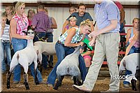 Lamb-Showmanship