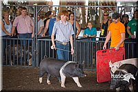 LCFAIR15-2543.jpg