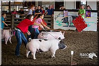 LCFAIR15-2605.jpg