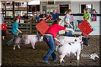 LCFAIR15-2607.jpg