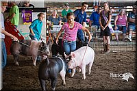 LCFAIR15-2612.jpg