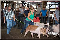 LCFAIR15-2457.jpg