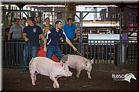 LCFAIR15-2459.jpg