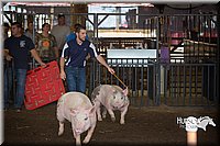 LCFAIR15-2460.jpg