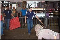 LCFAIR15-2461.jpg