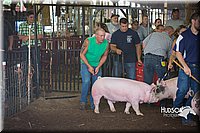 LCFAIR15-2462.jpg