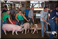 LCFAIR15-2463.jpg