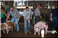 LCFAIR15-2464.jpg