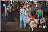 LCFAIR15-2465.jpg