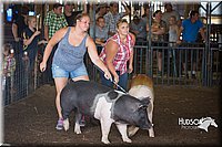 LCFAIR15-2468.jpg