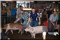 LCFAIR15-2469.jpg