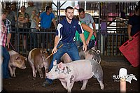 LCFAIR15-2470.jpg