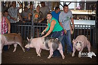 LCFAIR15-2471.jpg