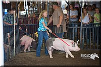 LCFAIR15-2163.jpg