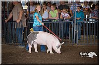 LCFAIR15-2164.jpg