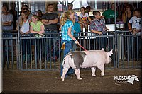 LCFAIR15-2165.jpg