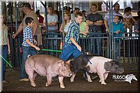 LCFAIR15-2166.jpg