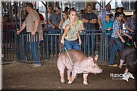 LCFAIR15-2167.jpg