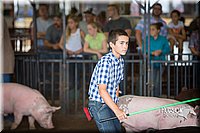 LCFAIR15-2169.jpg