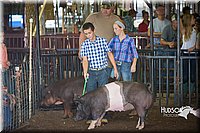 LCFAIR15-2170.jpg