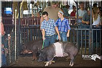 LCFAIR15-2170.jpg