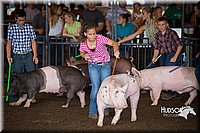 LCFAIR15-2171.jpg