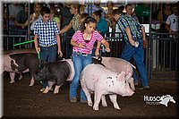 LCFAIR15-2172.jpg