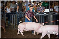 LCFAIR15-2176.jpg