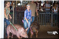 LCFAIR15-2178.jpg