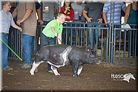 LCFAIR15-2212.jpg