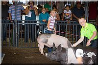 LCFAIR15-2214.jpg