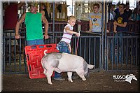 LCFAIR15-2216.jpg