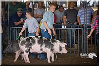 LCFAIR15-2219.jpg