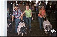 LCFAIR15-2243.jpg