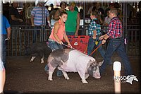 LCFAIR15-2244.jpg