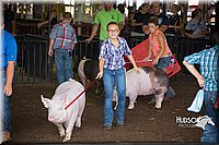 LCFAIR15-2245.jpg